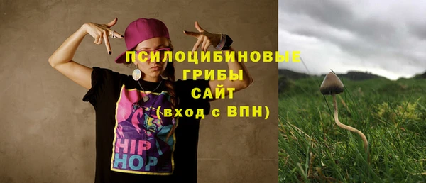 трава Бугульма