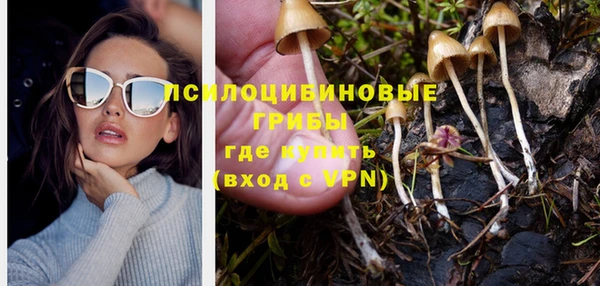 трава Бугульма