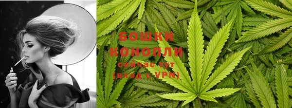 шишки Бронницы