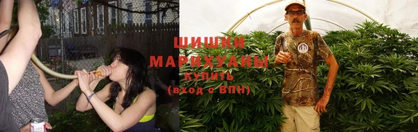 шишки Бронницы