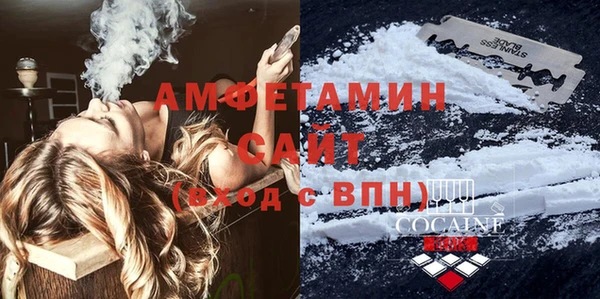 шишки Бронницы