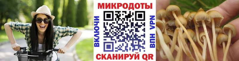 Псилоцибиновые грибы прущие грибы Пойковский